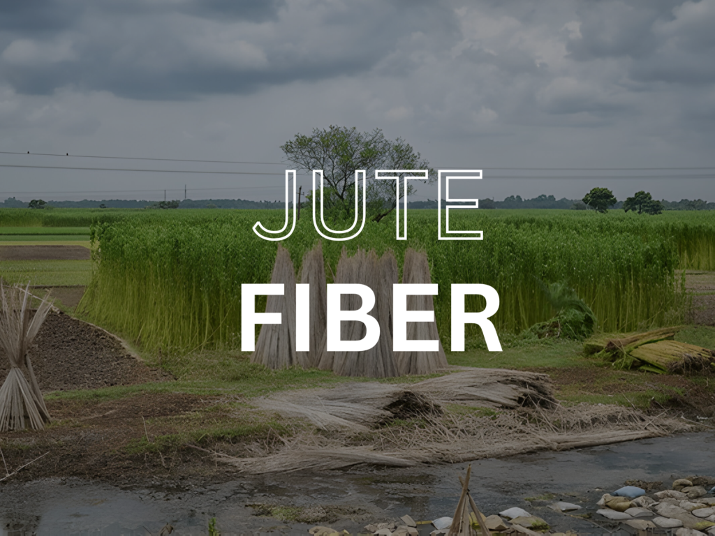 JUTE FIBER