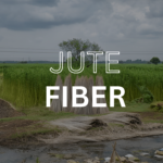 JUTE FIBER