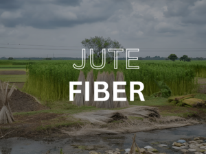 JUTE FIBER